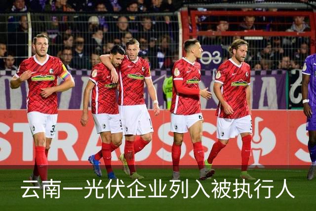 云南一光伏企业列入被执行人